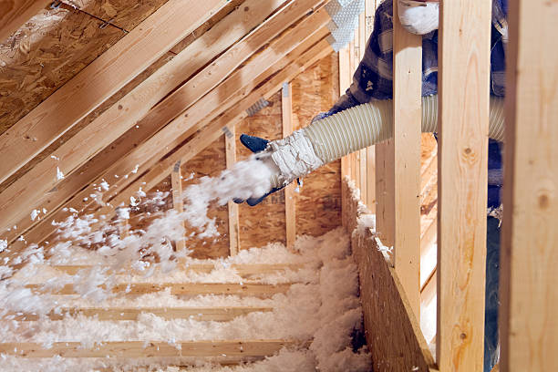 Types of Insulation We Offer in Venus, TX